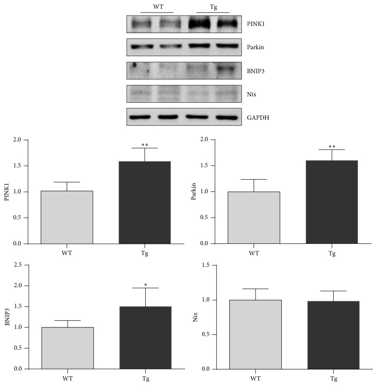 Figure 6