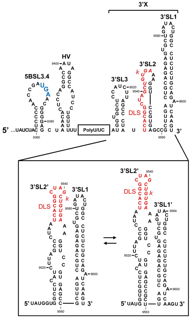 FIGURE 3