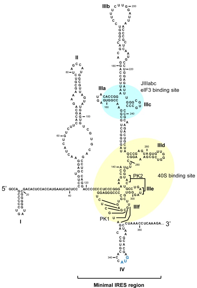 FIGURE 2