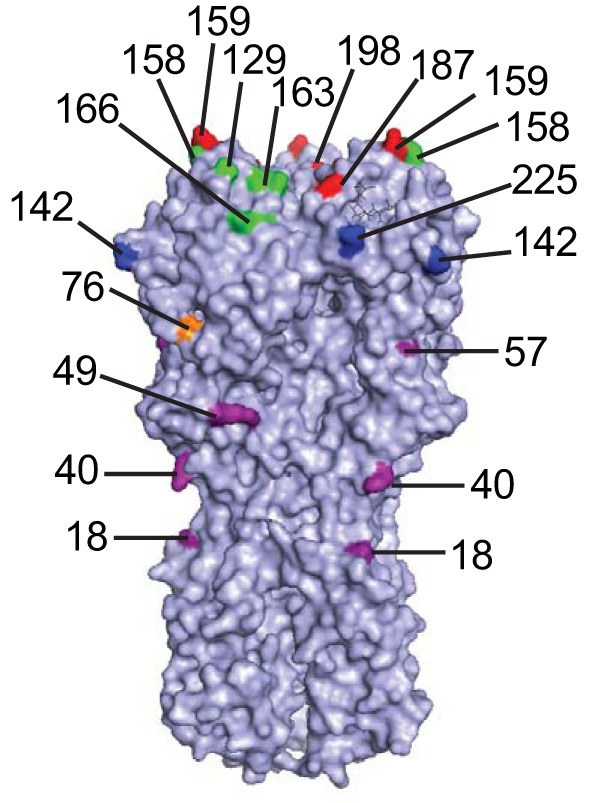 FIG 2