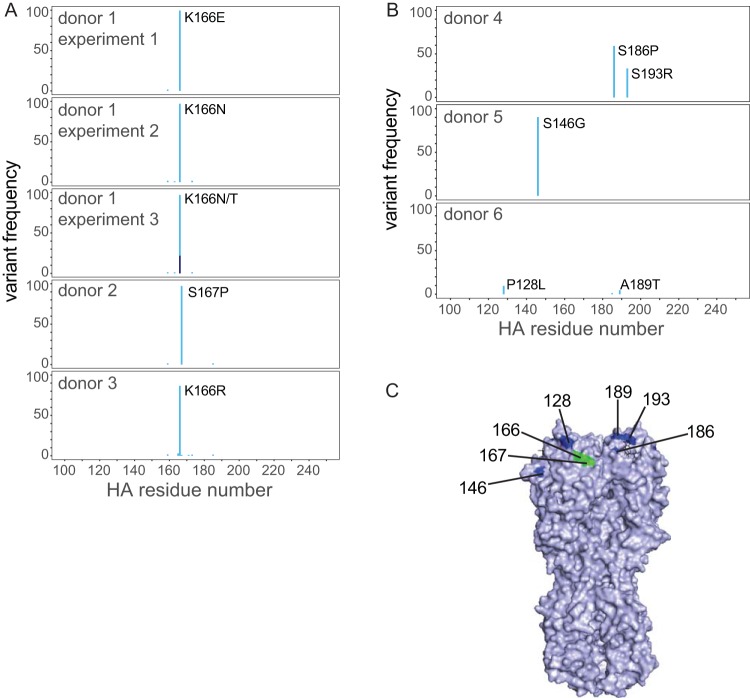 FIG 5