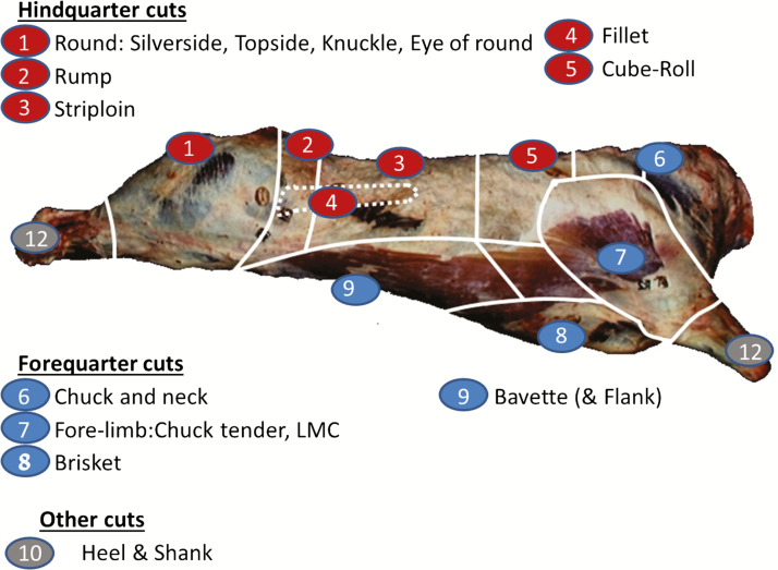 Figure 1.