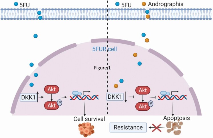 Figure 7.