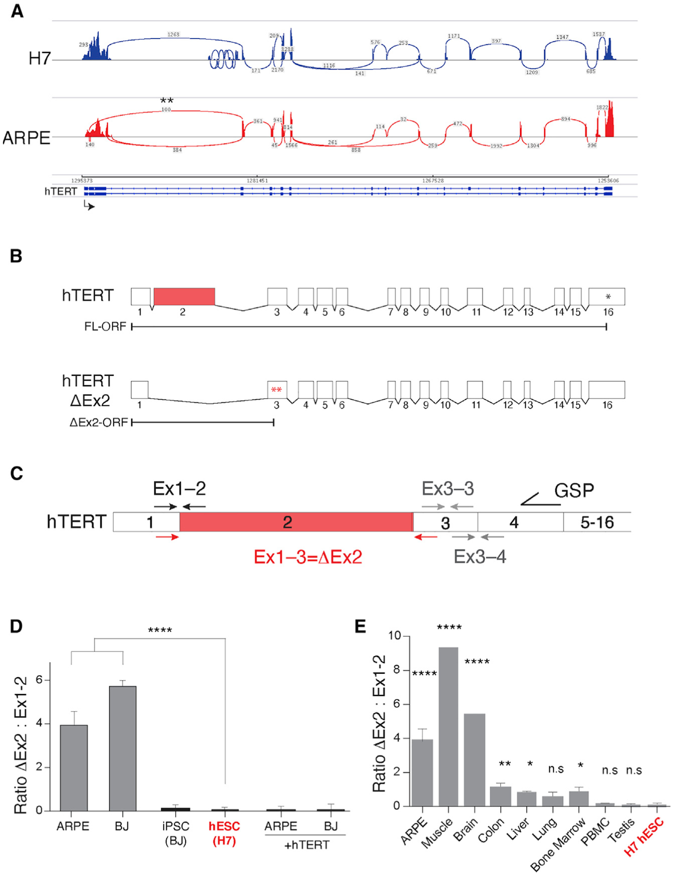 Figure 3.