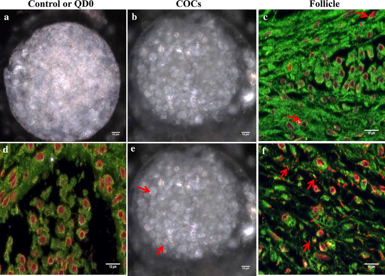 Figure 12