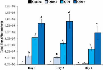 Figure 7