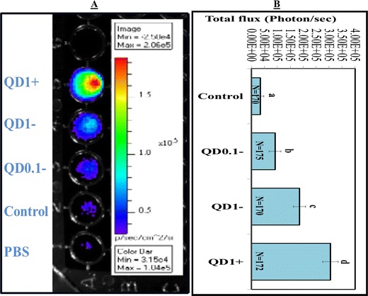 Figure 3