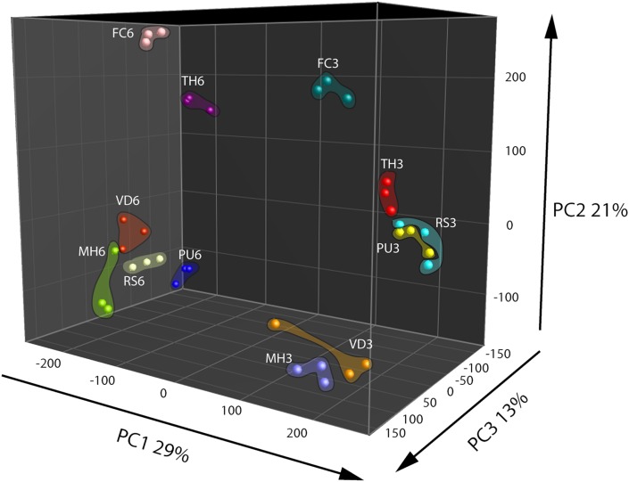 FIGURE 1