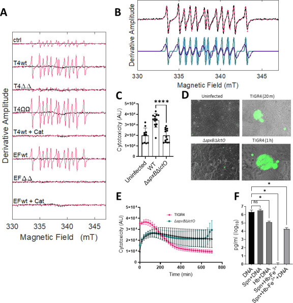 FIG 6