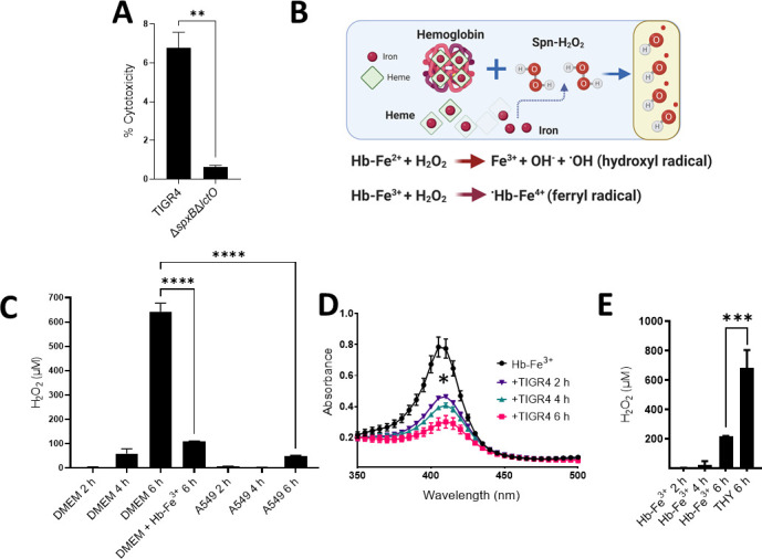 FIG 3