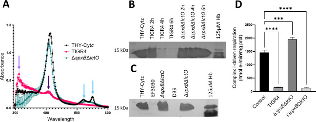 FIG 7