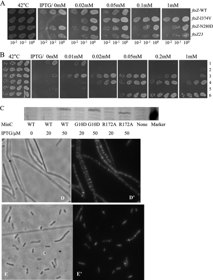 FIG. 4.