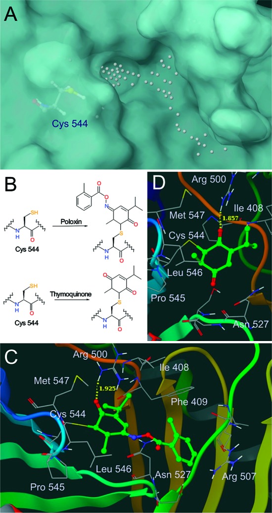 Figure 6