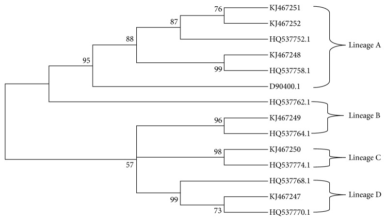 Figure 4