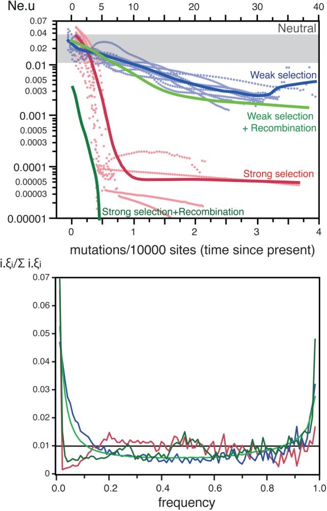 Fig. 4.