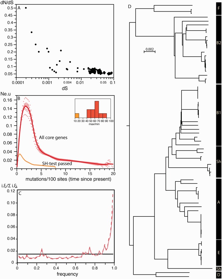 Fig. 7.