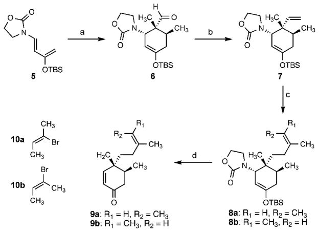 Scheme 2