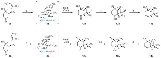 Scheme 3