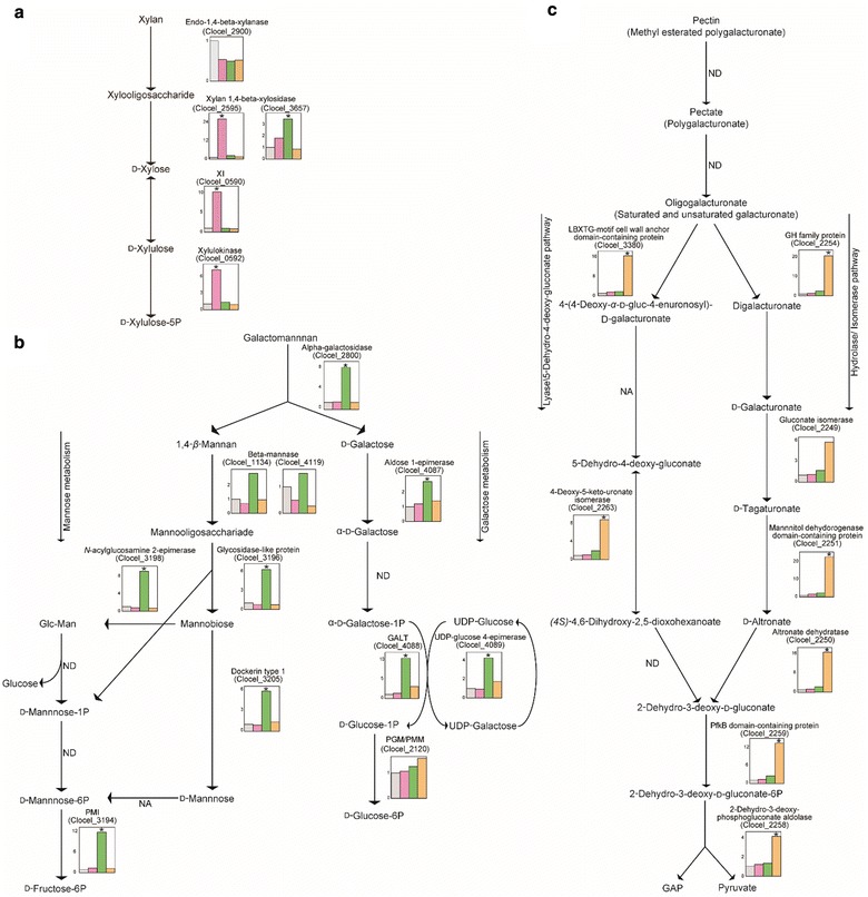 Figure 4