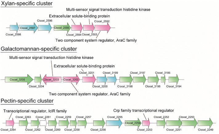 Figure 5