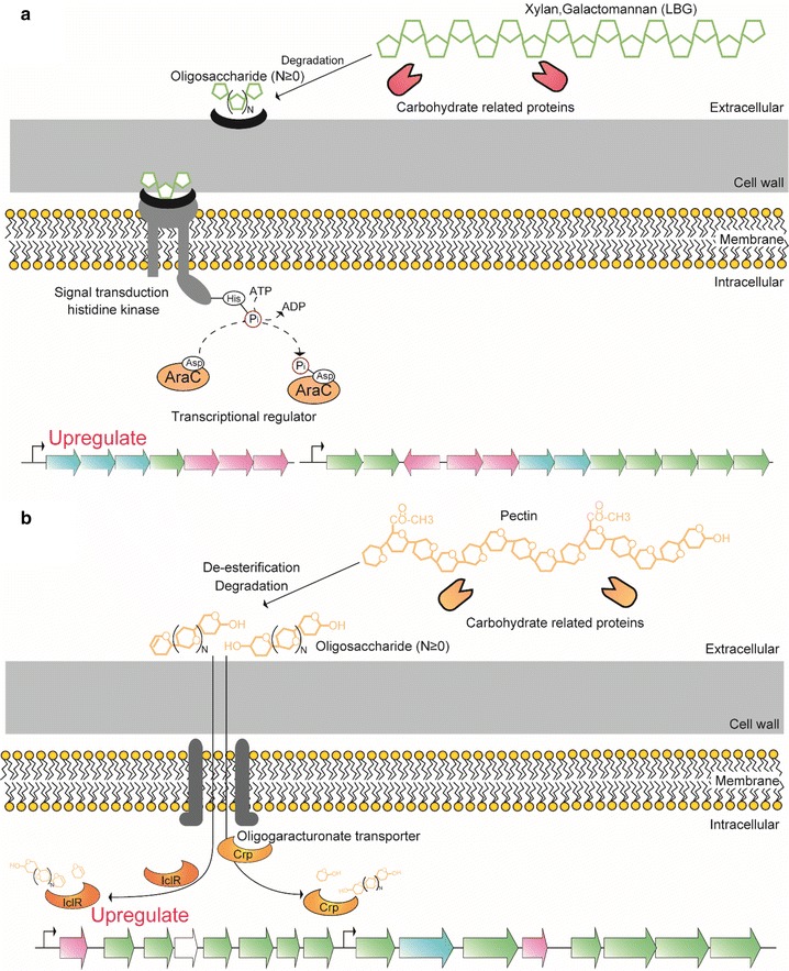 Figure 6