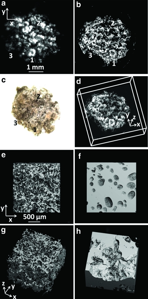 FIG. 3.