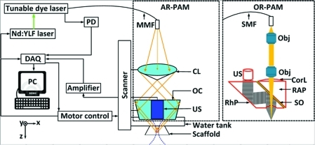 FIG. 1.