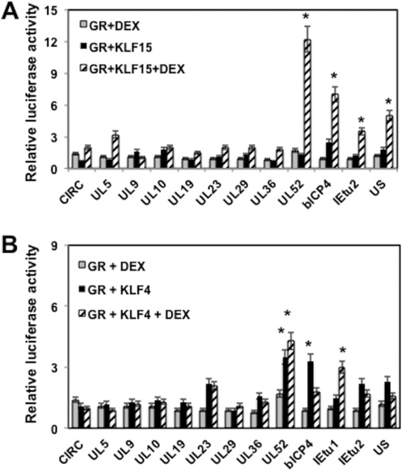 FIG 6