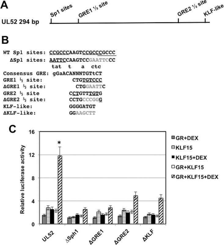 FIG 7