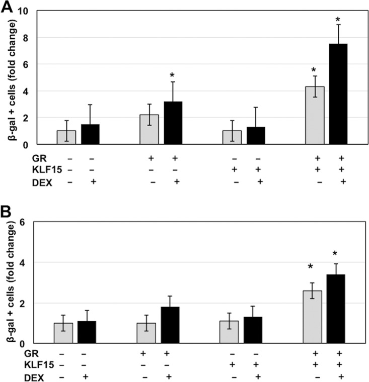 FIG 2