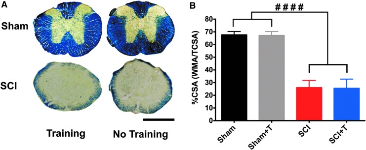 FIG. 6.