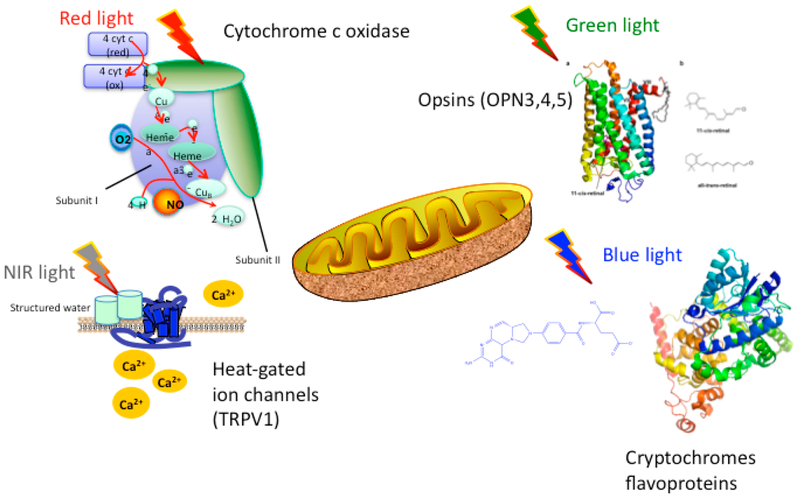 Figure 1.