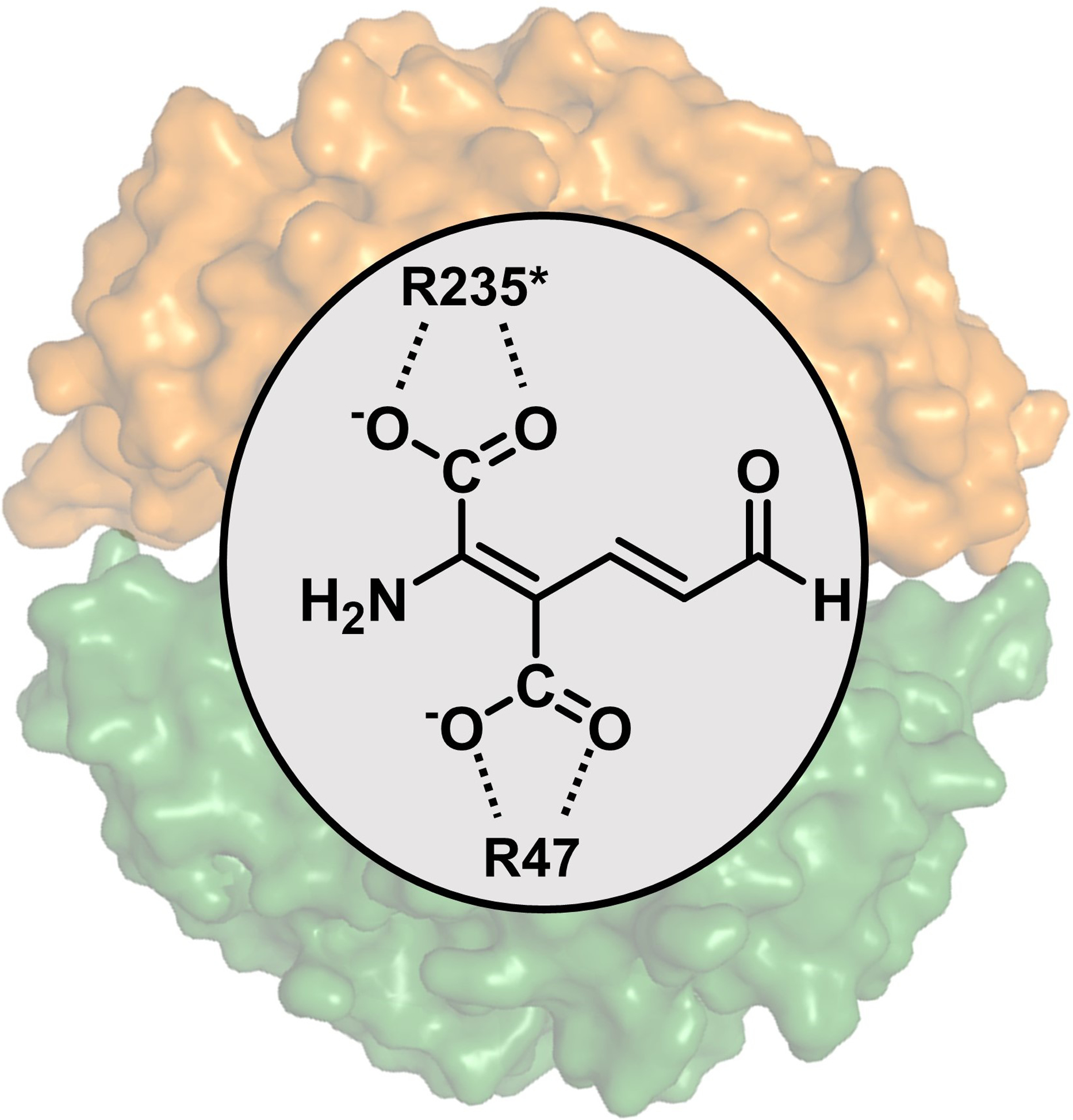 Scheme 3.