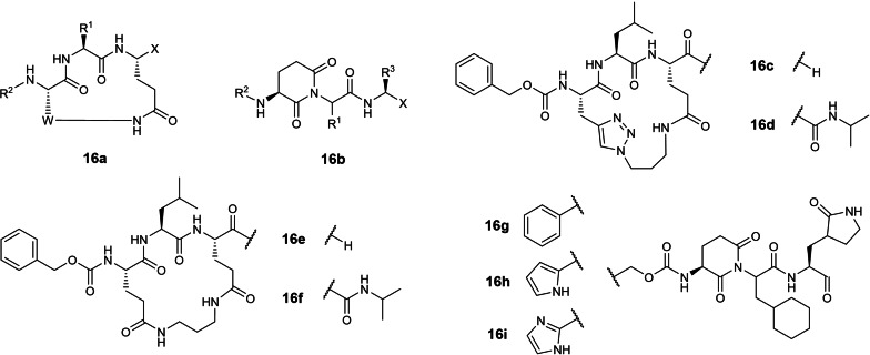 Figure 16