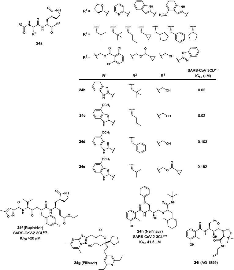 Figure 24