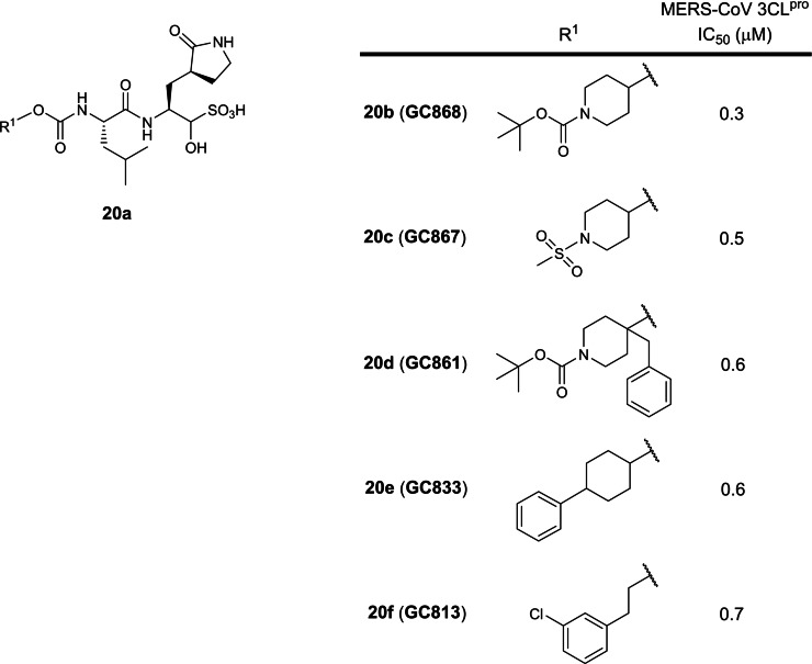 Figure 20