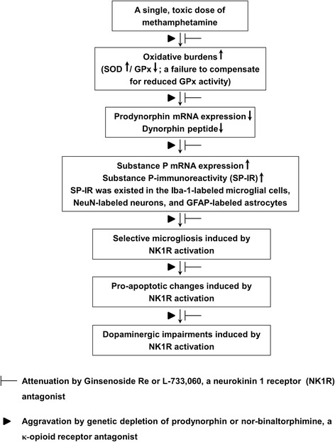 Fig. 10