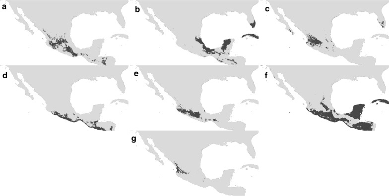 Fig. 1