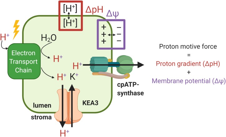 Figure 1.