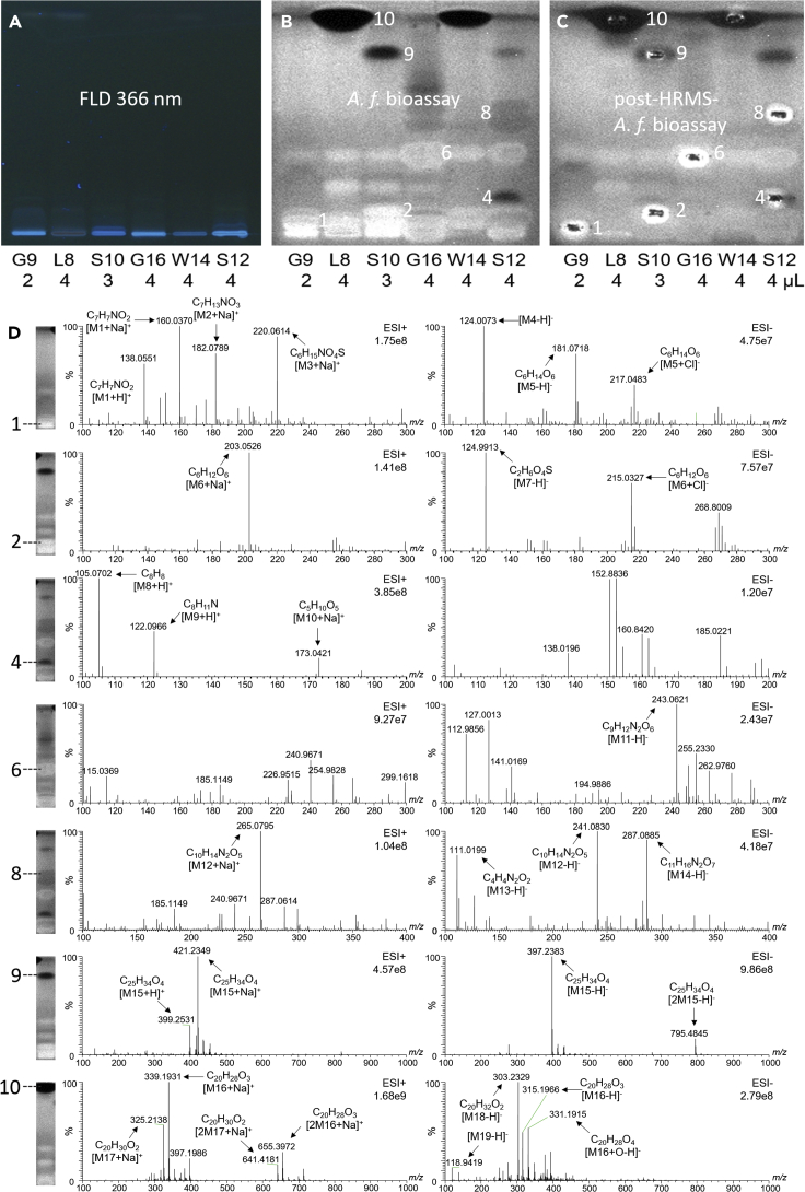 Figure 4