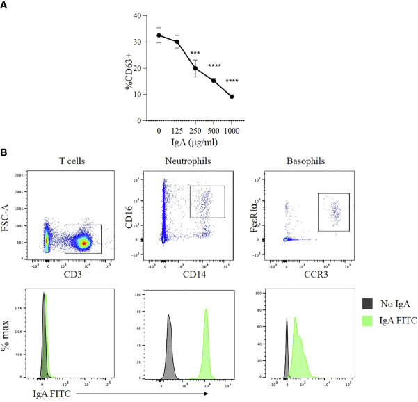 Figure 5