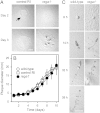 Fig. 2