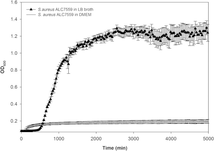 FIG 2