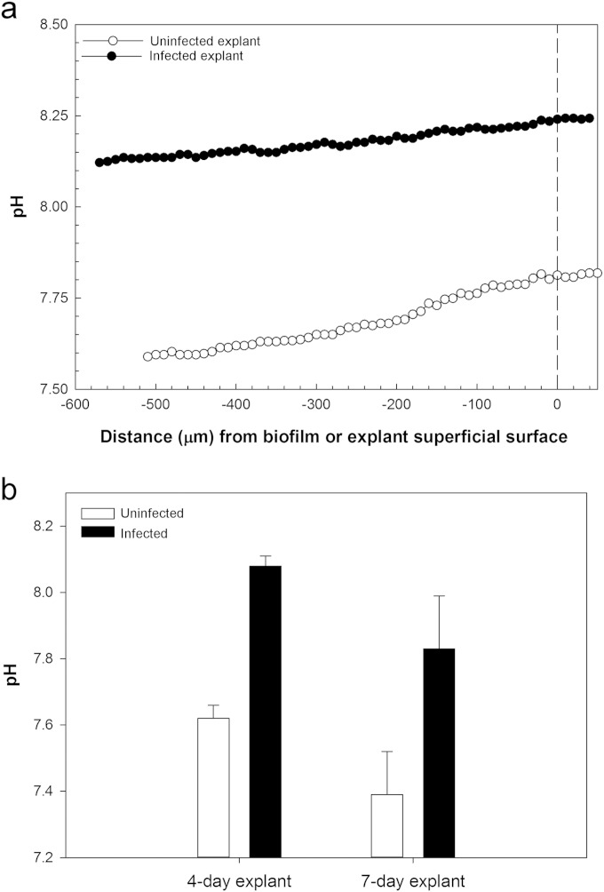 FIG 7