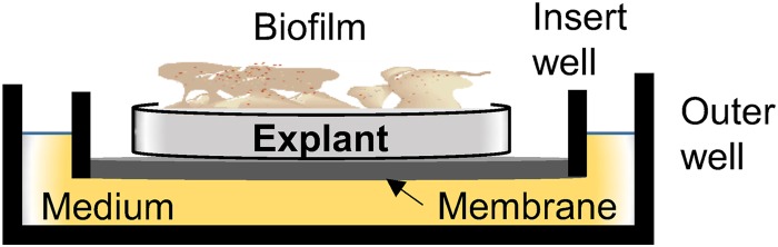 FIG 1