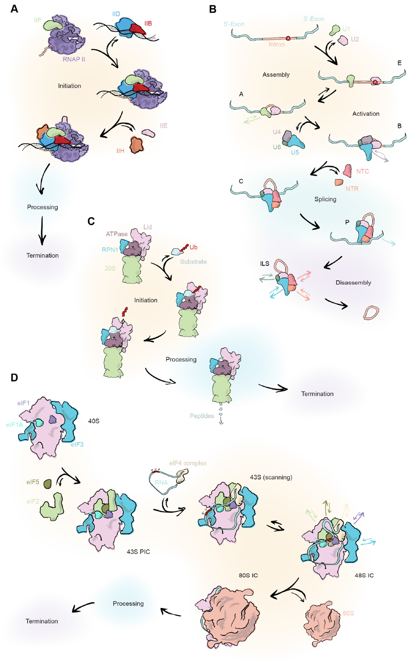 Figure 1: