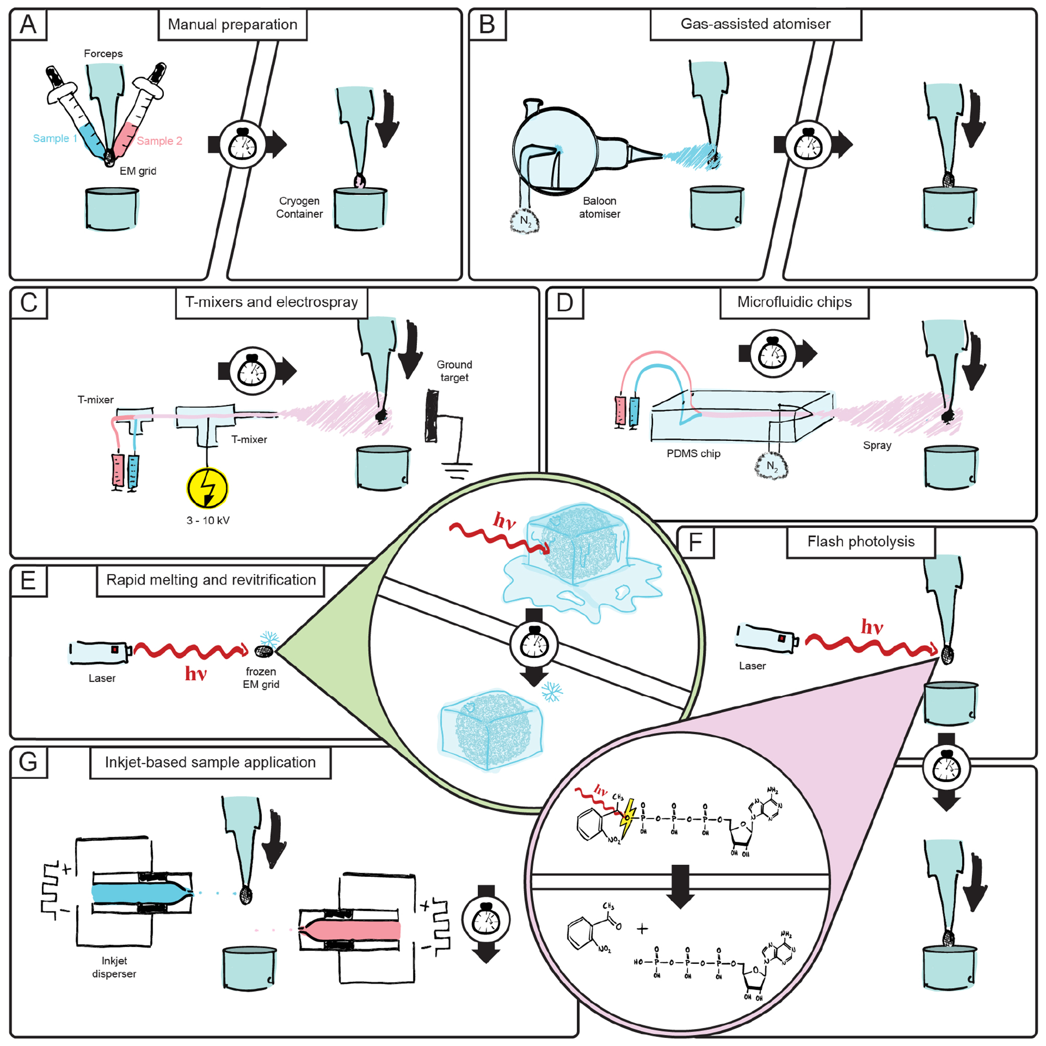 Figure 2: