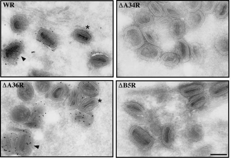 FIG. 11