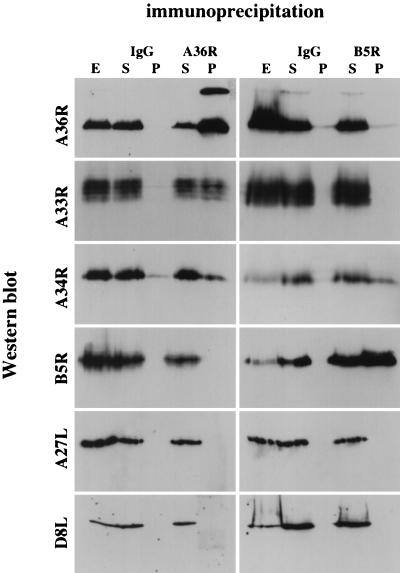 FIG. 12