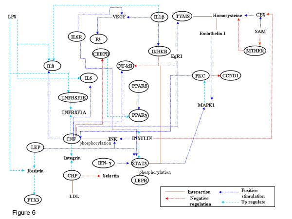 Figure 6